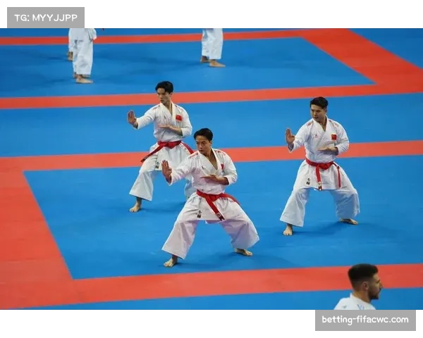 莫卡耶夫综合格斗全能 空手道赛事胜利展现多面能力