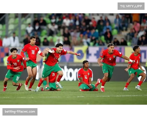 摩洛哥预选赛18连胜排名升至世界第11 非洲球队显现统治力