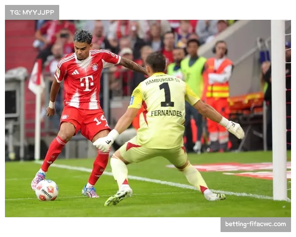 汉堡反击效率处于德甲中游水准 边路速度优势未能完全发挥 汉堡反击效率处于德甲中游水准 边路速度优势未能完全发挥